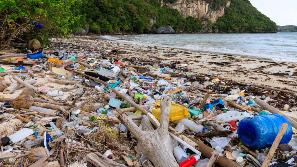 La contaminación: el gran desafío&nbsp;planetario
