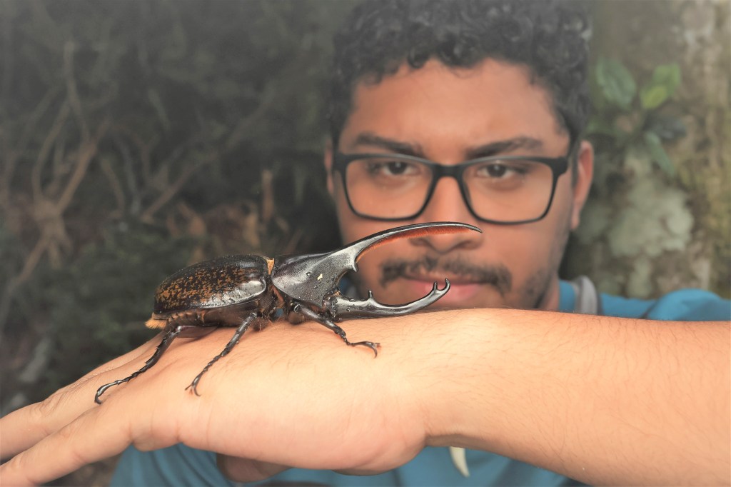 Transformación y metamorfosis en la investigación de escarabajos en&nbsp;Panamá