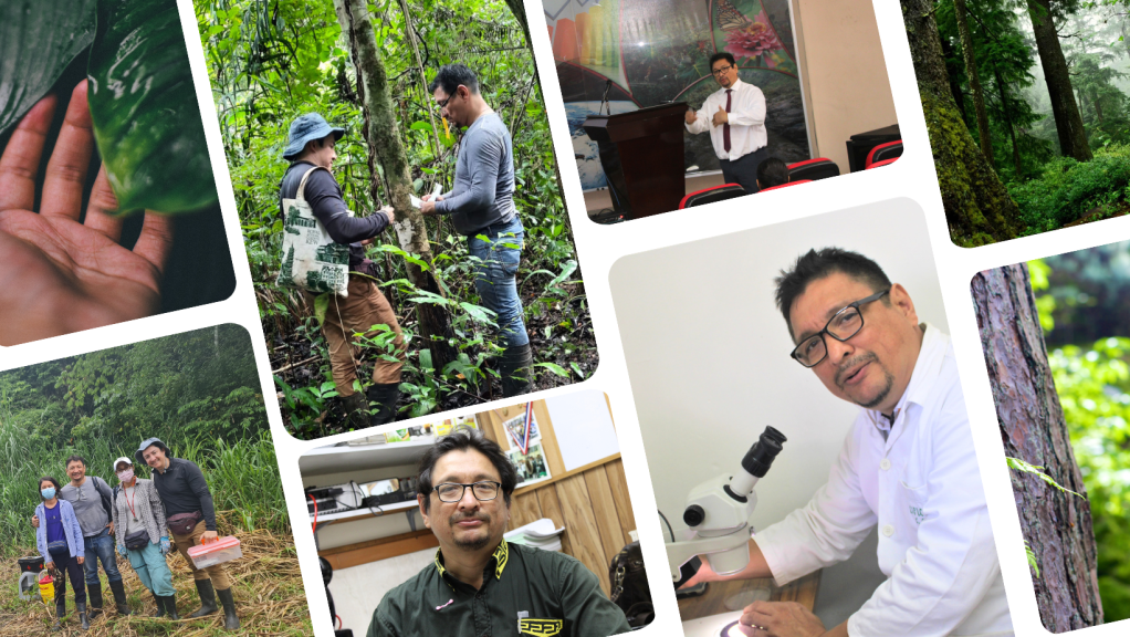 Los bosques tropicales de Panamá y su impacto en la baja emisión de gases de efecto&nbsp;invernadero