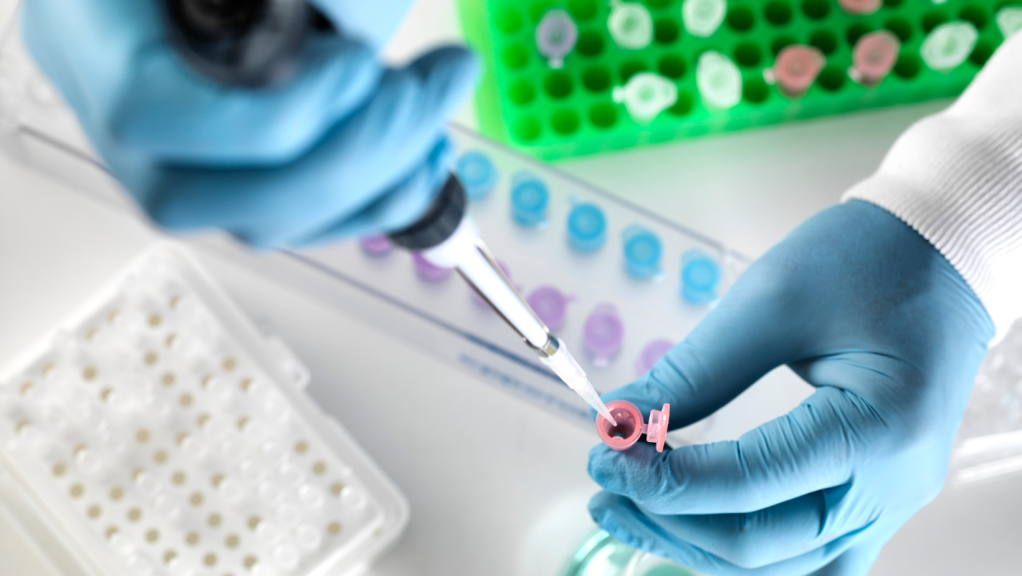 La CEPI y la OMS promueven una estrategia de investigación más amplia para que los países se preparen para la próxima&nbsp;pandemia