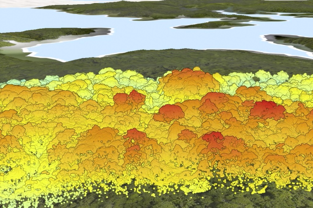 El Smithsonian recibe 12 millones de dólares de la Fundación Gordon y Betty Moore para la verificación del carbono forestal con&nbsp;GEO-TREES