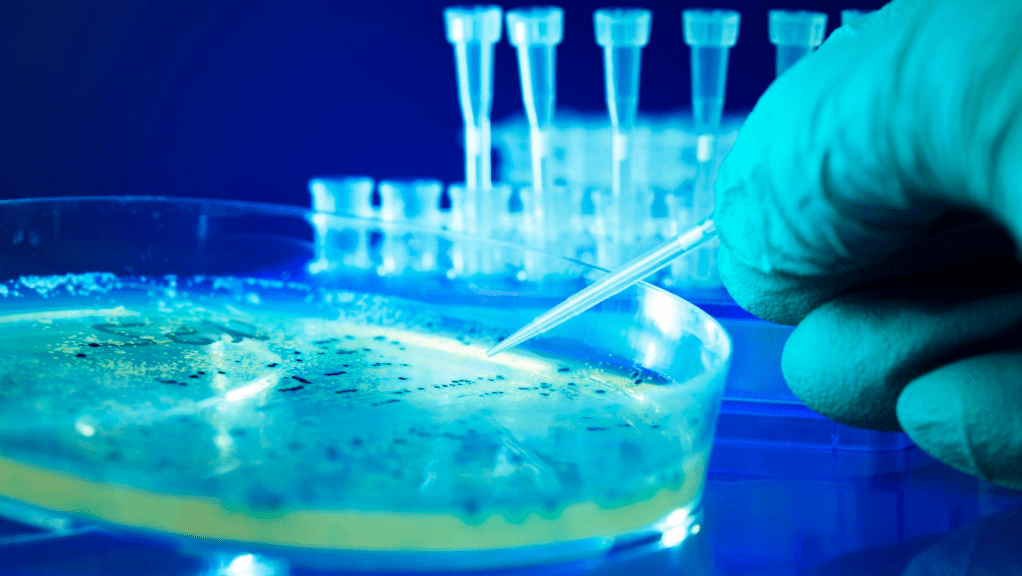 El impacto de las investigaciones en la educación&nbsp;superior