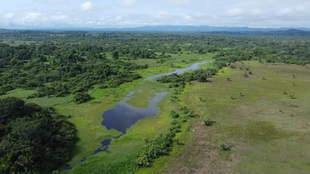 Complejo de Humedales de Matusagaratí es designado como Sitio Ramsar, el sexto de&nbsp;Panamá