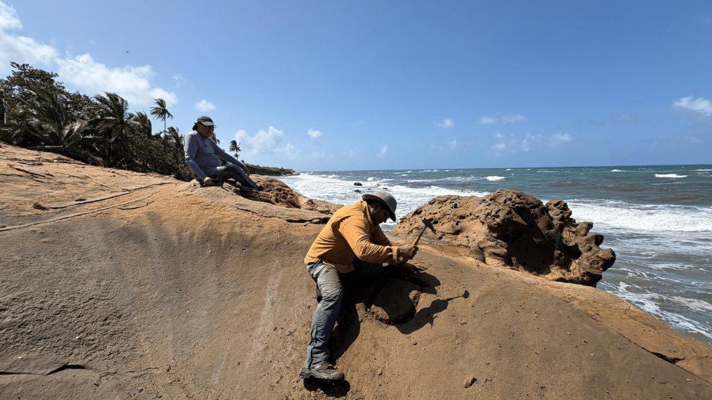 Paleontología, la Ciencia que Despierta el Interés por reestructurar la investigación&nbsp;nacional