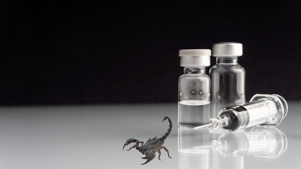 Panamá avanza hacia su primer antiveneno contra especies locales de&nbsp;escorpiones