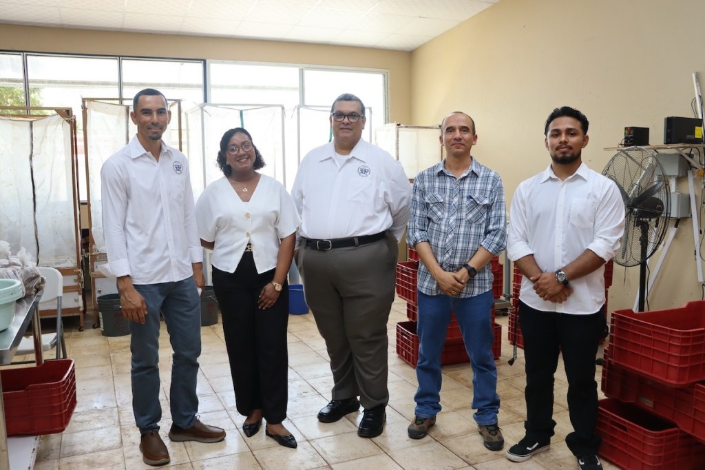La UTP establece innovadora planta piloto de bioconversión de residuos orgánicos en el Centro de Innovación y Transferencia Tecnológica de&nbsp;Coclé