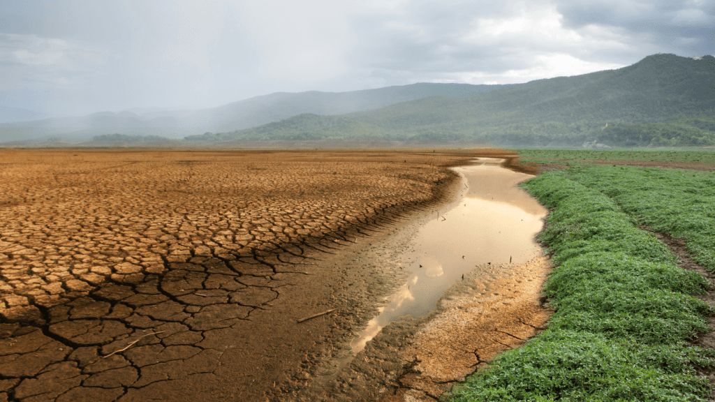 Investigación del CCIMBIO de la Universidad de Panamá integrará publicación científica internacional sobre calentamiento&nbsp;global
