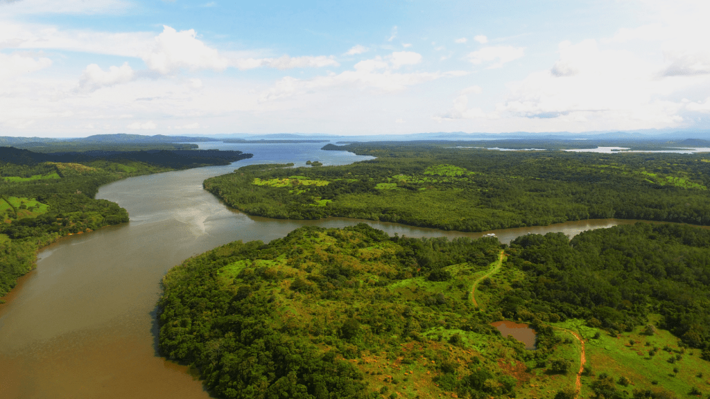 Investigación realizada en la UP propone nueva estrategia para proteger el Golfo de Montijo frente al cambio&nbsp;ambiental